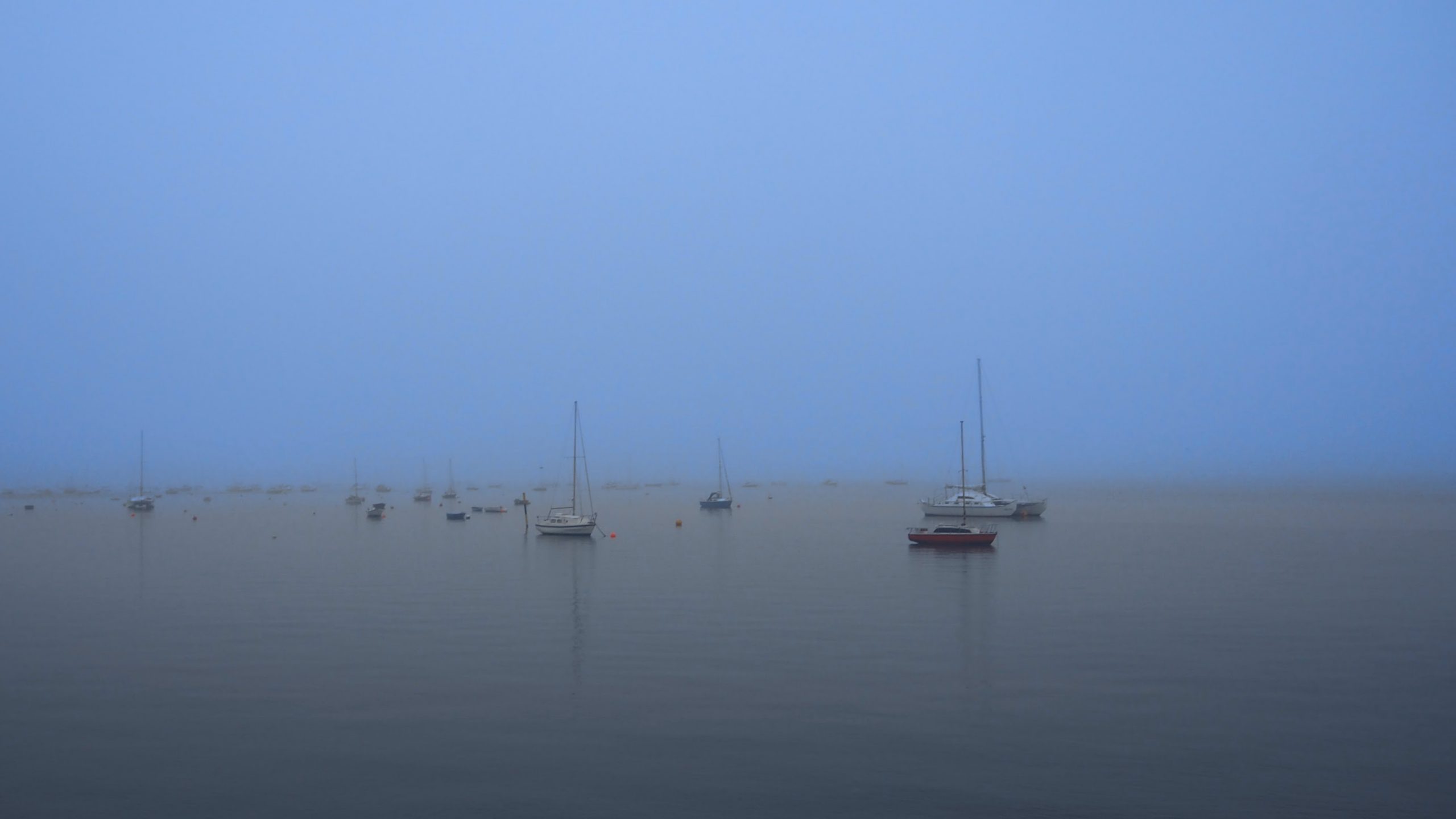 Rain, Tables, and a Job Offer – Covid Part 4